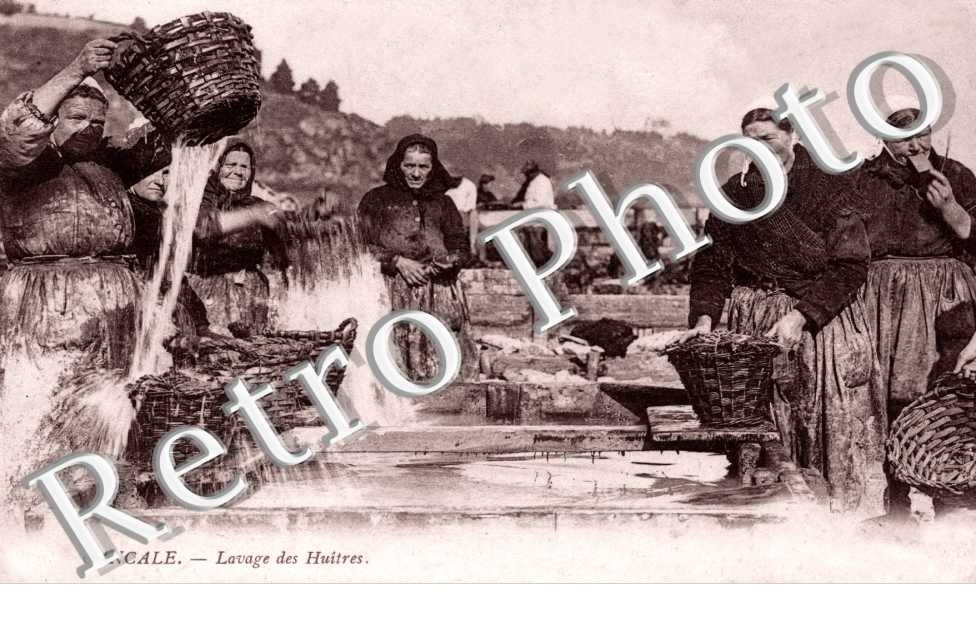 Lavage des Huitres