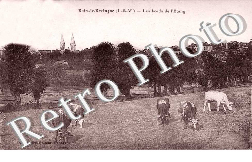 les bords de l'étang
