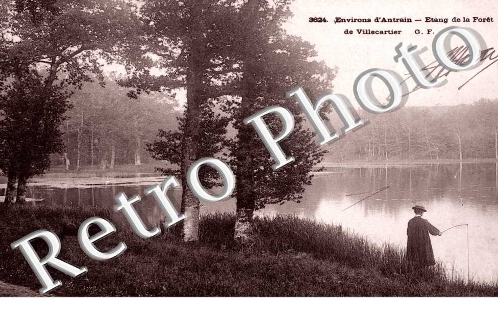 etang de la foret de Villecartier
