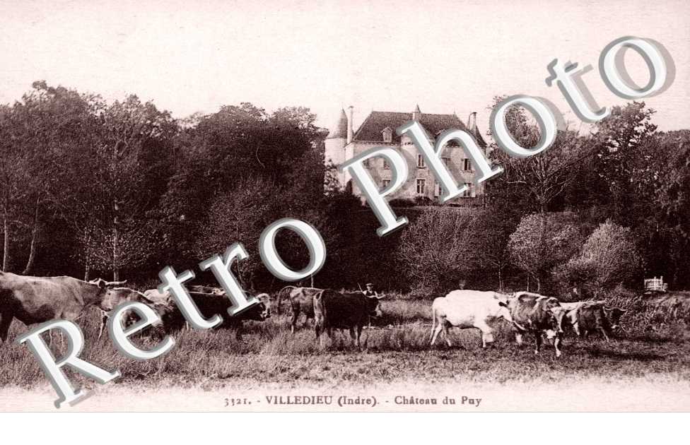 Chateau du Puy
