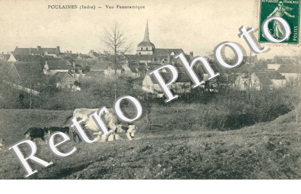 Vue Panoramique