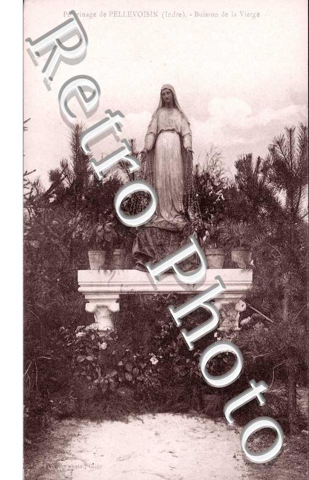 Buisson de la vierge