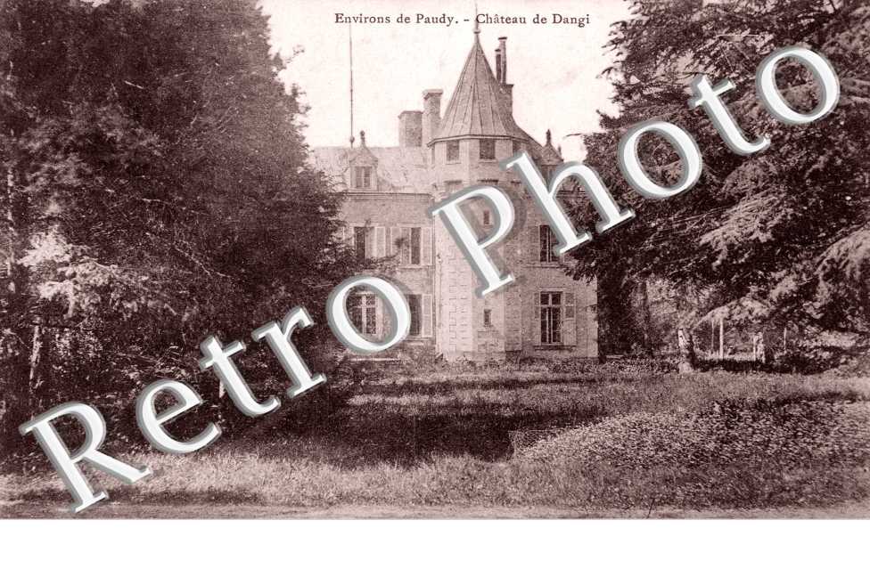 Chateau de Dangi