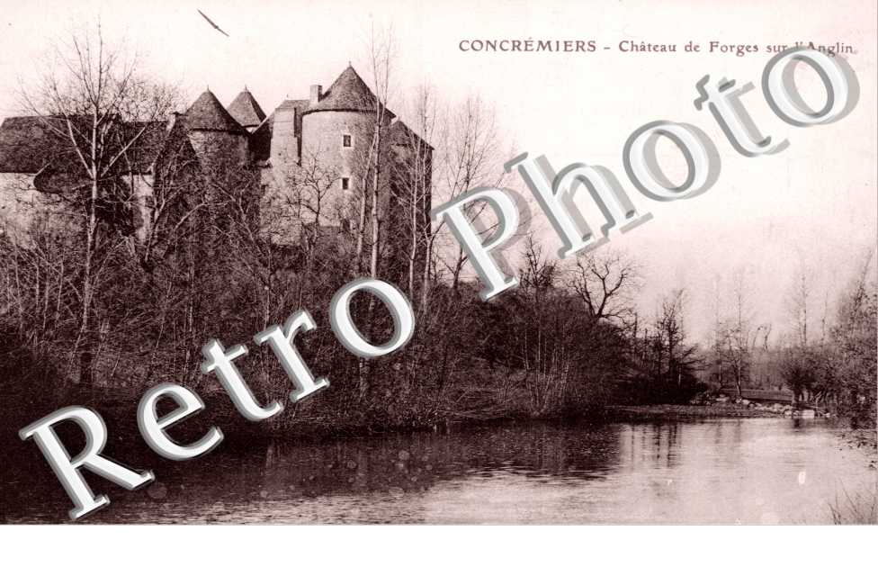 Château de Forges sur l'Anglin