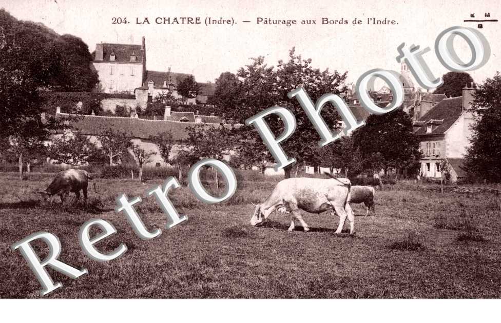 paturage aux bords de l'Indre