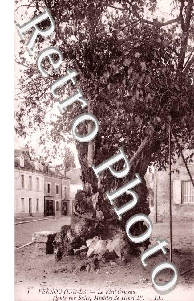 Le Vieil Ormeau