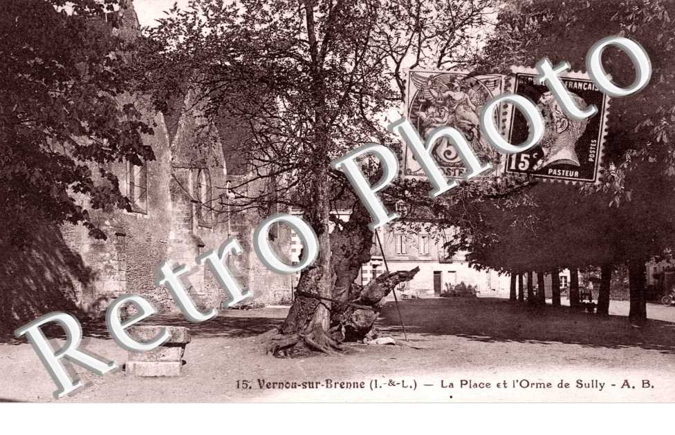 La Place et l'Orme de Sully