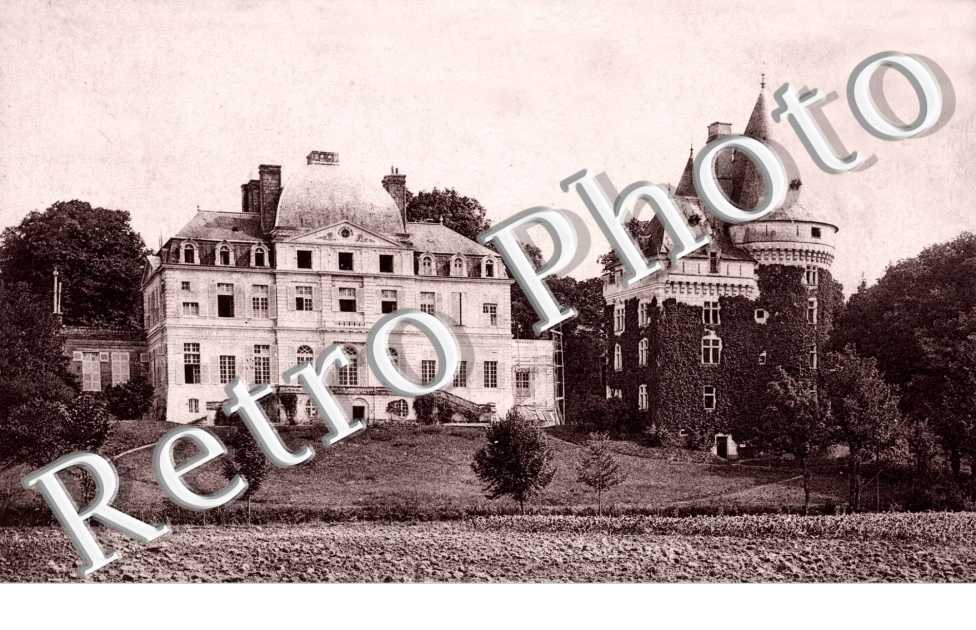 le chateau et le donjon Vue sud-ouest