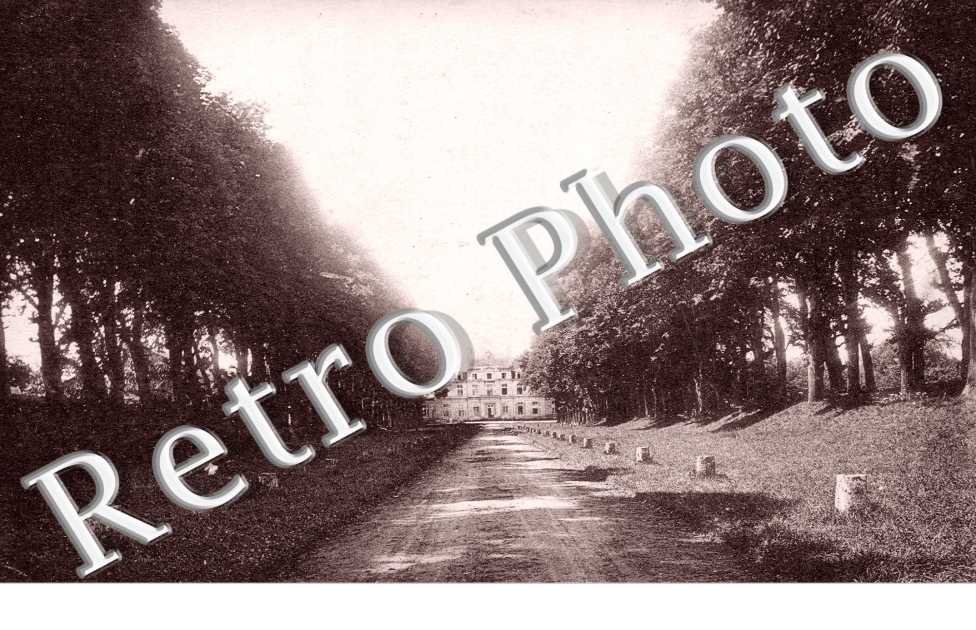 Le Chateau et l'Avenue des Tilleuls