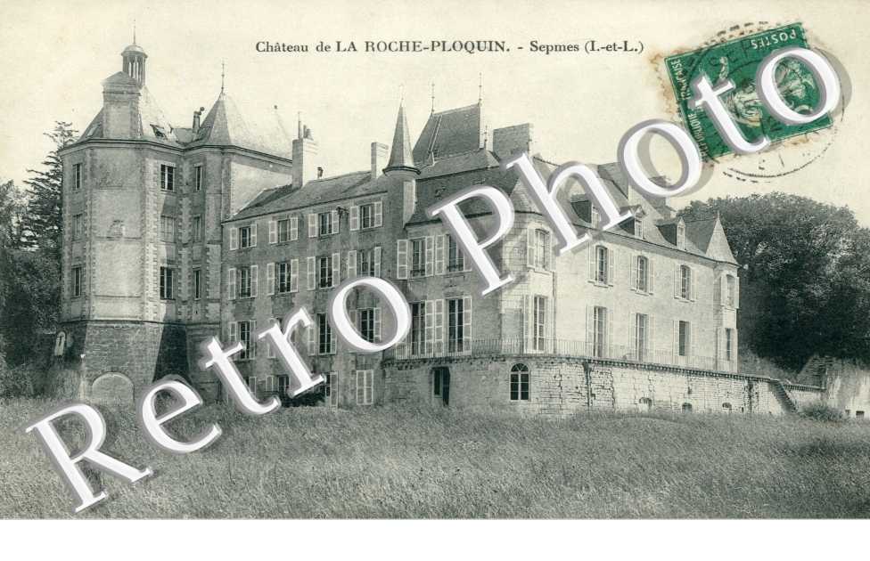 Chateau de la Roche Ploquin