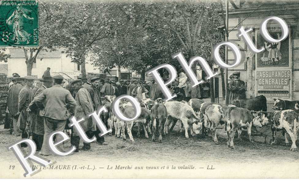 le marche aux veaux et a la volaille