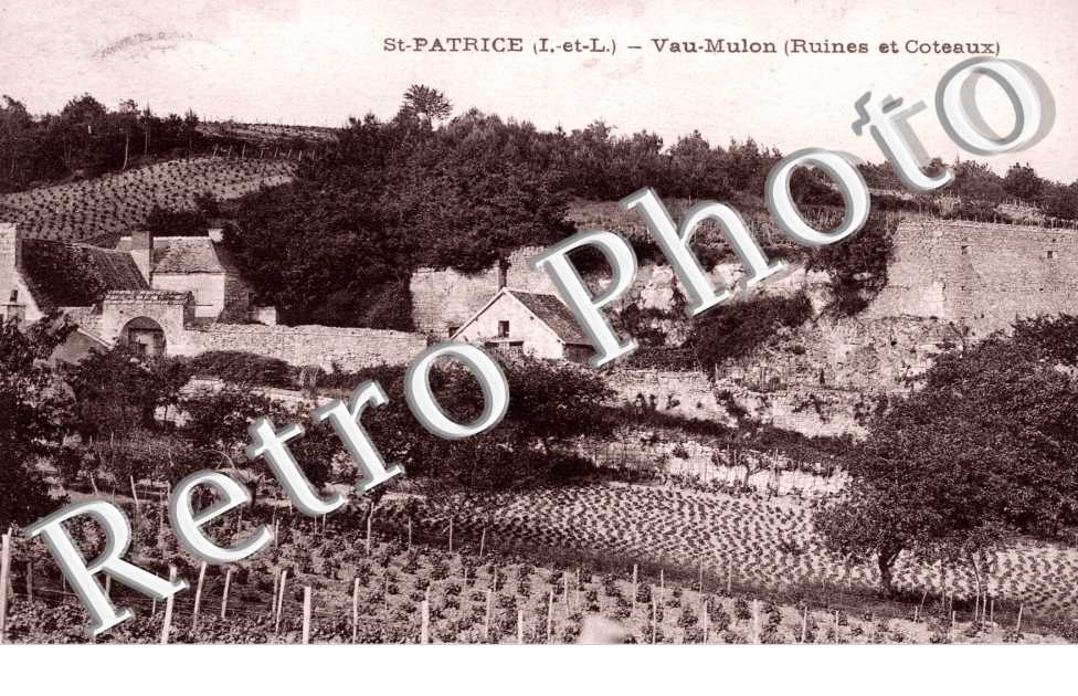Veau Mulon