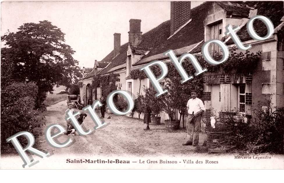 le gros buisson, villa des roses