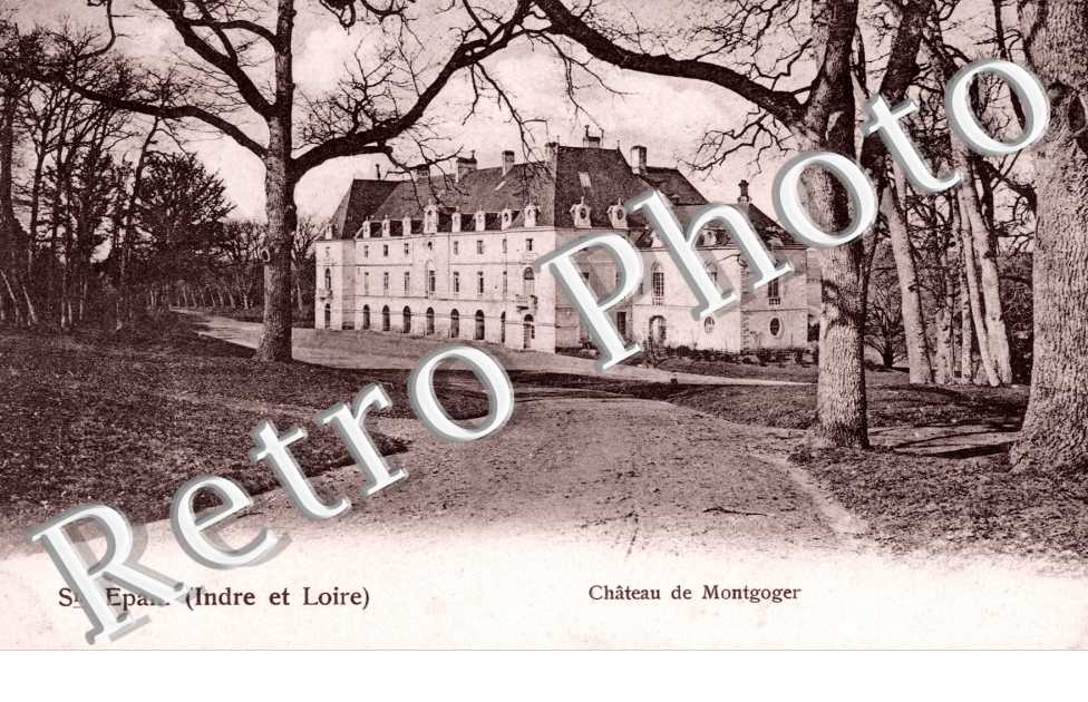 Chateau de Montgoger