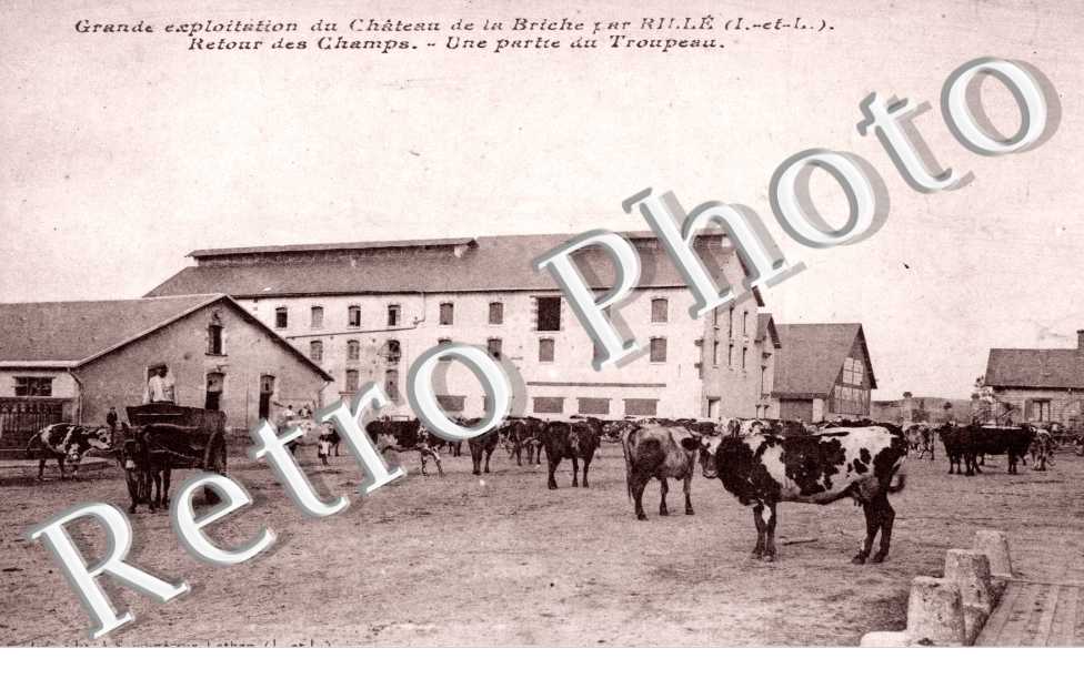 Exploitation Agricole de la Briche