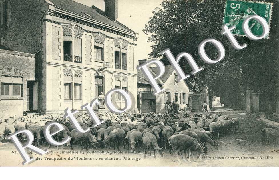 Exploitation Agricole de la Briche