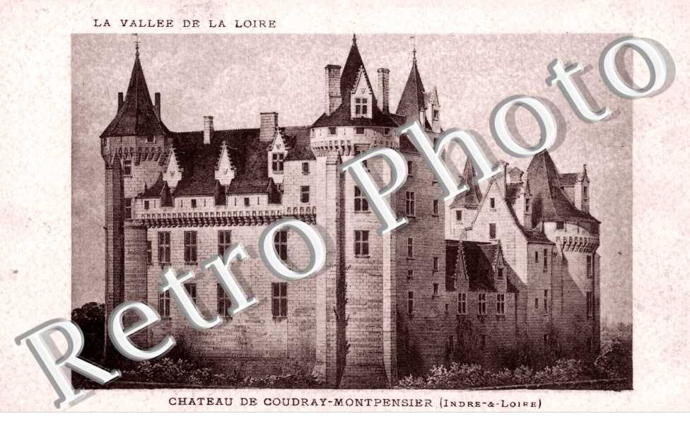 Chateau de Coudray Montpensier