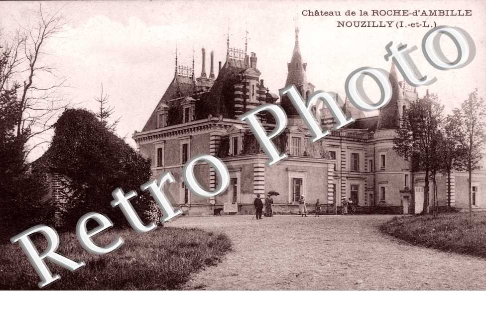 Chateau de la Roche d'Ambille