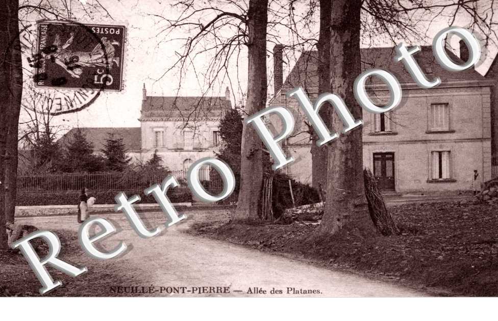 Allee des Platanes