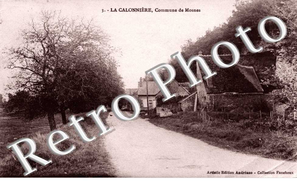 La Calonniere