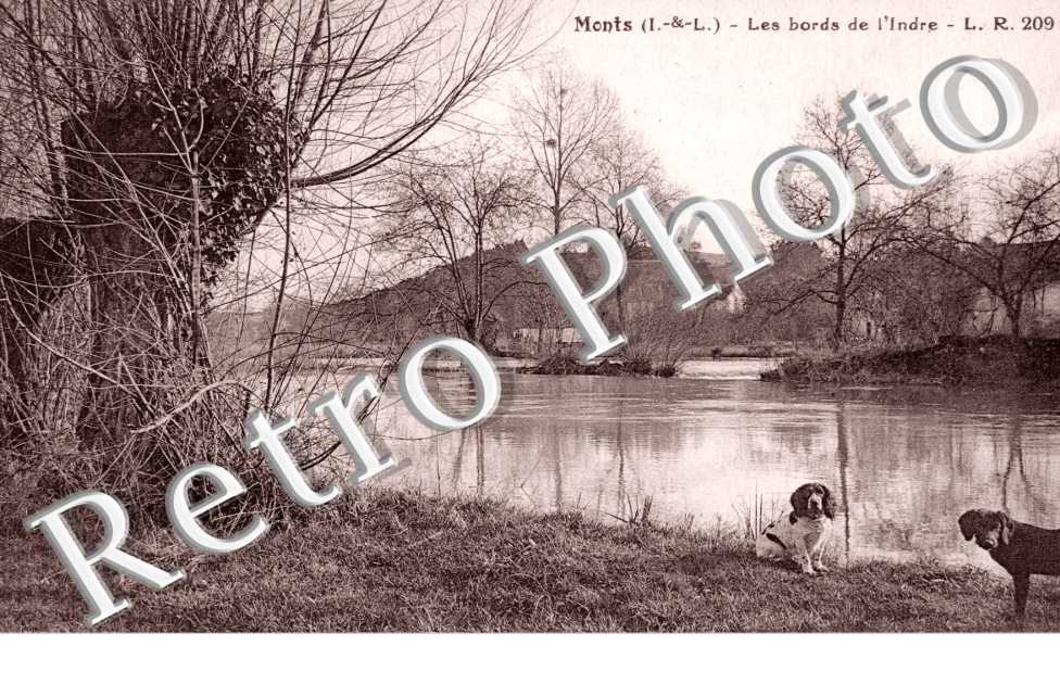 Bords de l'Indre