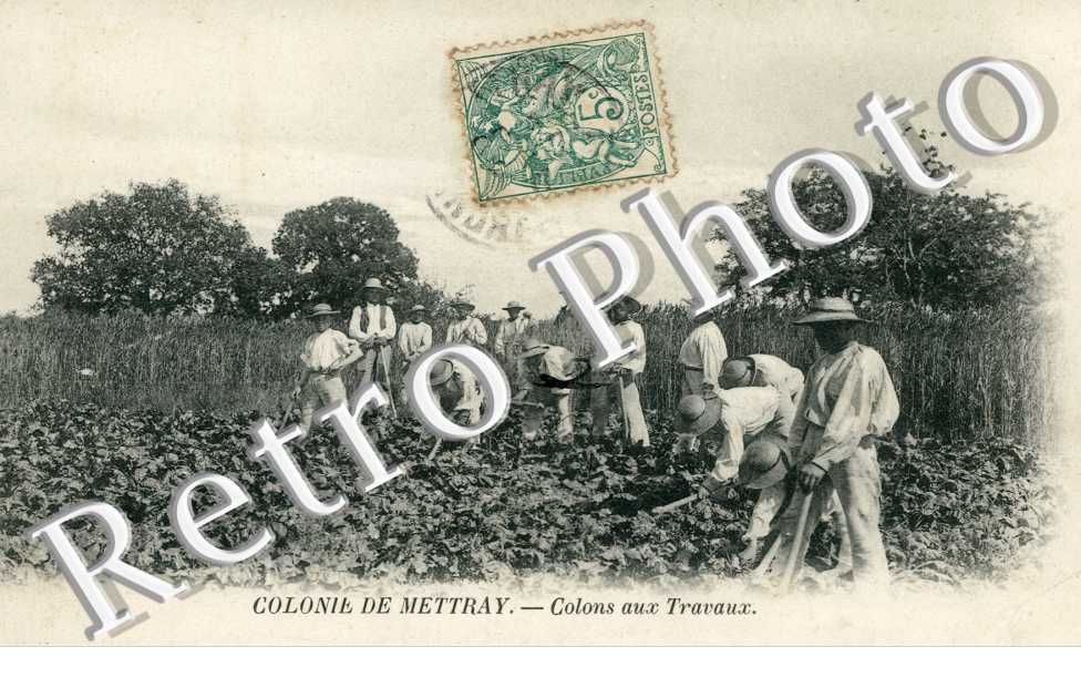 La Colonie Agricole, Colons aux Travaux