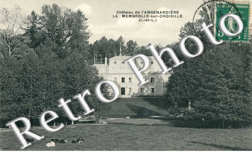 Chateau de l'Angenardiere