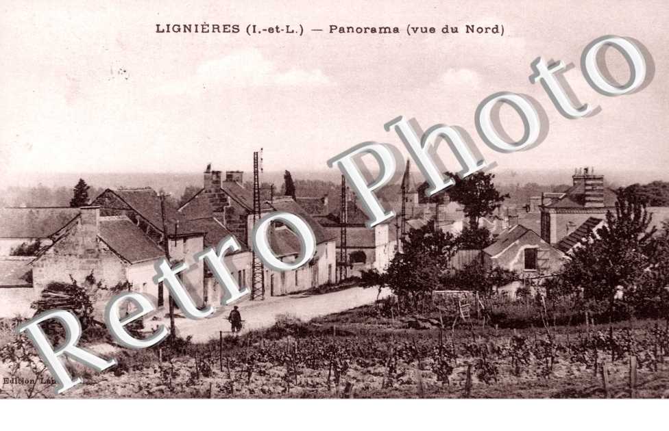 Panorama