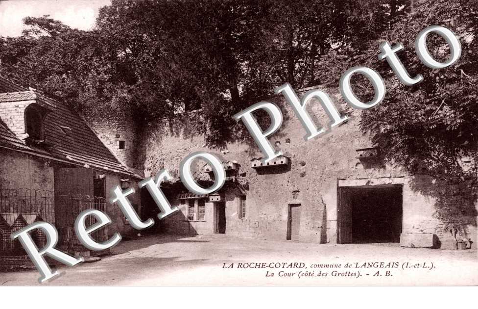 la Cour