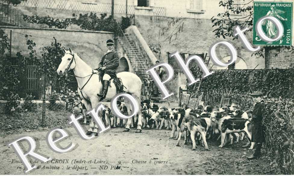 Chasse a courre en foret d'Amboise : le depart