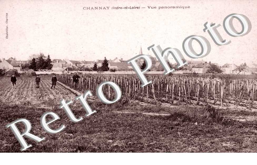 Vue Panoramique