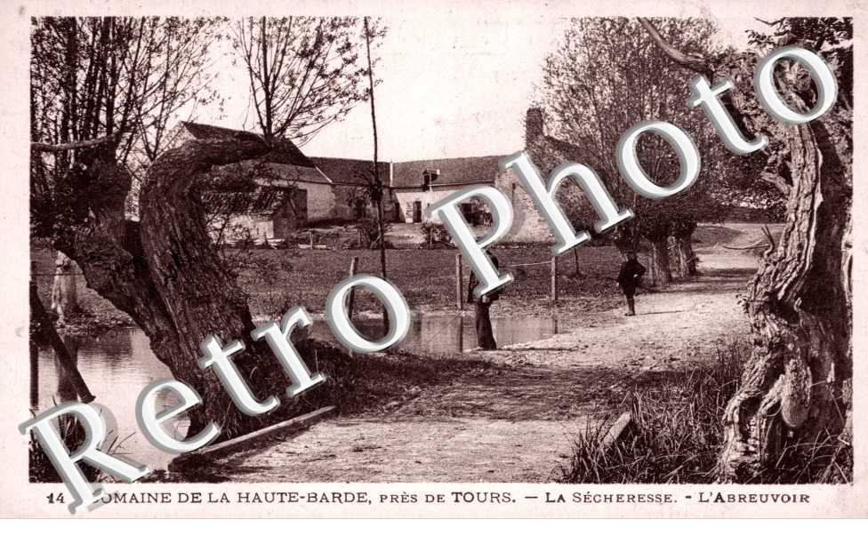 Domaine de la Haute-Barde, l'Abreuvoir, la Secheresse