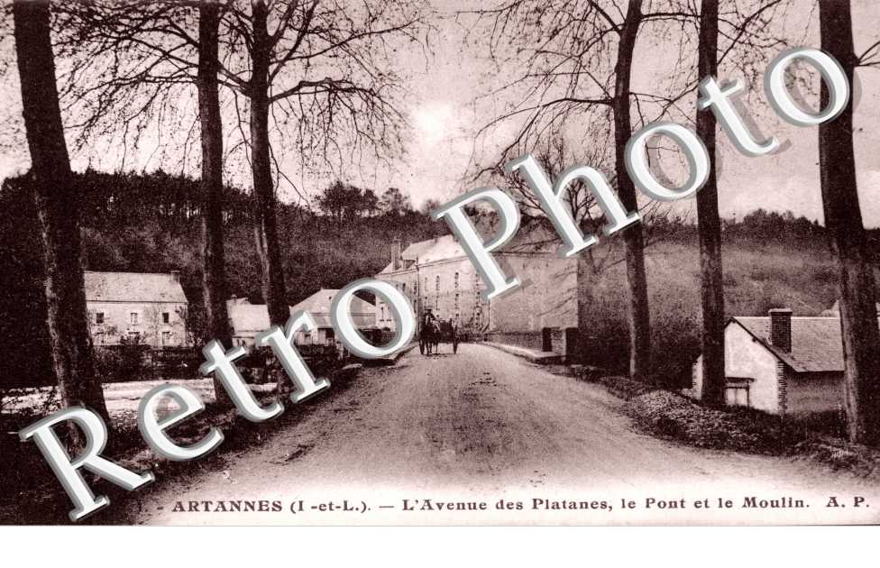 L'Avenue des Platanes