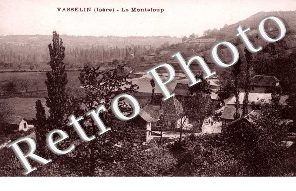 le Montaloup