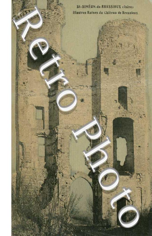 illustres ruines du chateau