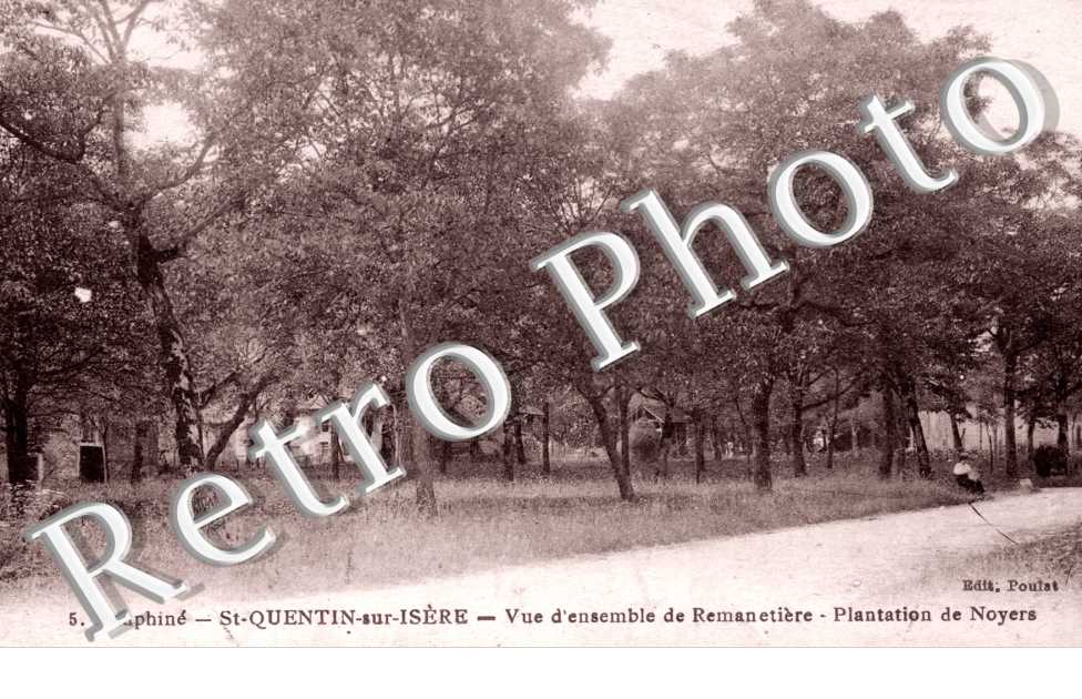 Vue d'ensemble de Remanetière, plantation de noyers