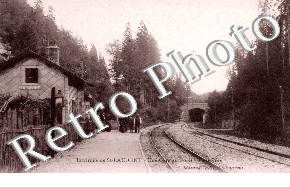Une Gare en Foret, la Savine