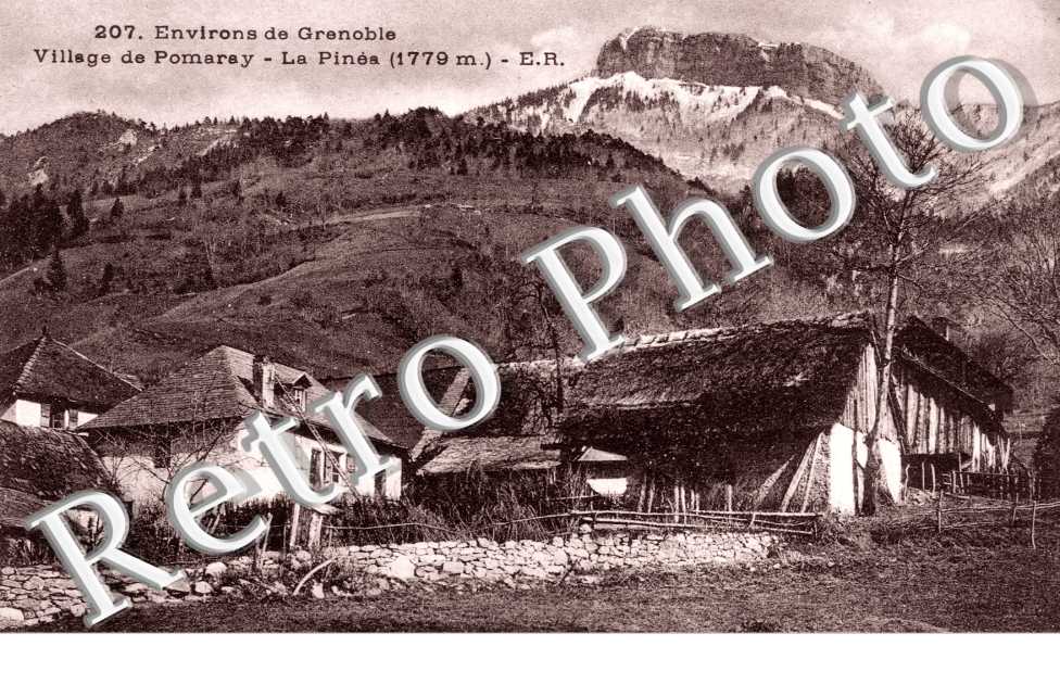 La Pinea