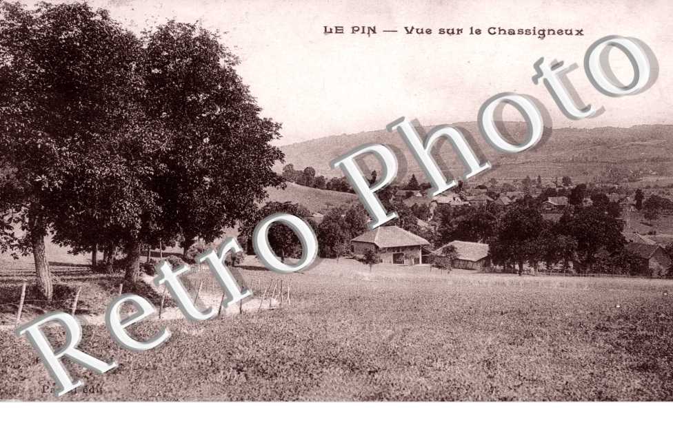 Vue sur le Chassigneux