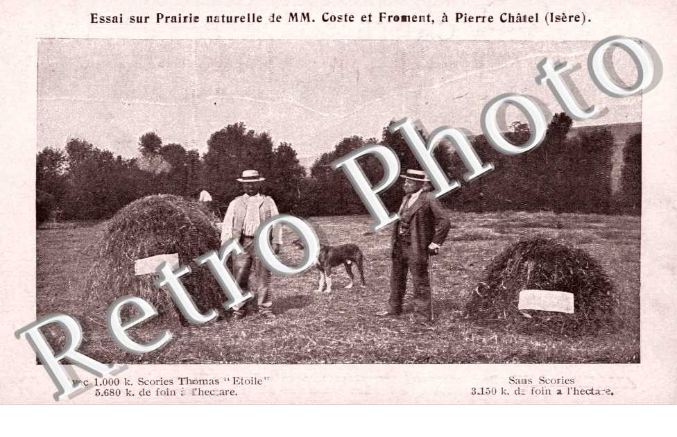 Essai sur Prairie naturelle de MM. Coste et Froment