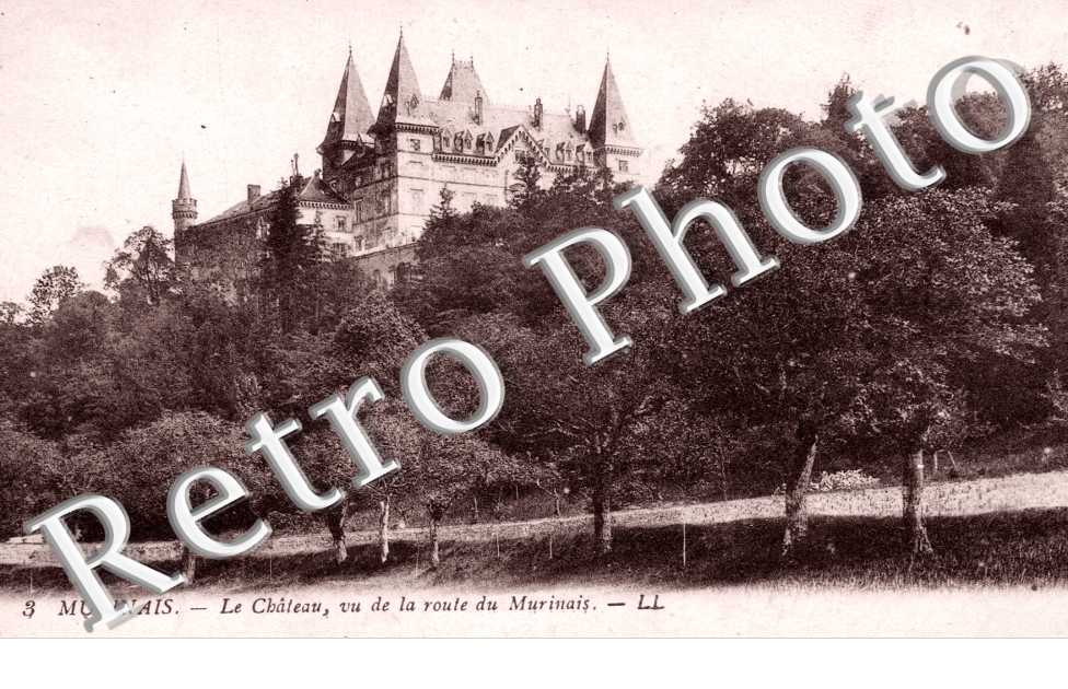 le chateau, vu de la route du Murinais