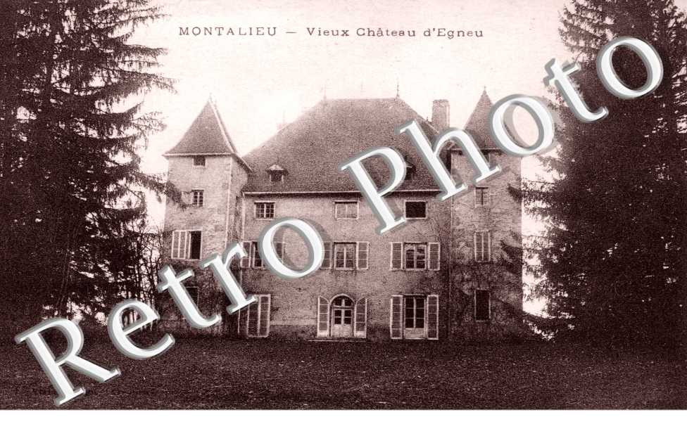 Vieux Chateau d'Egneu