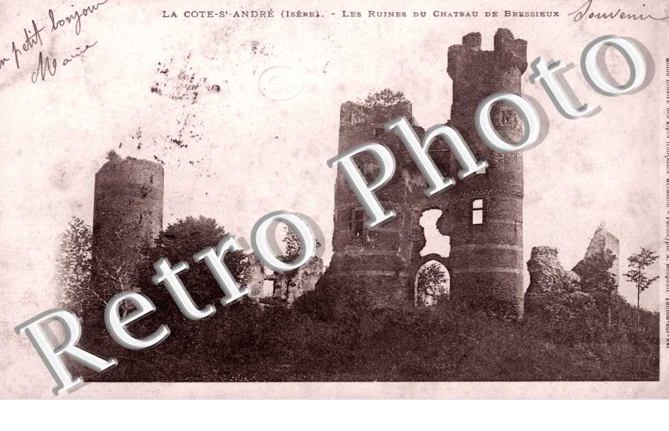 Ruines du Chateau de Bressieux