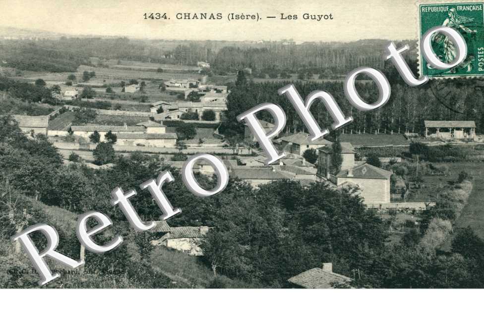 Les Guyot