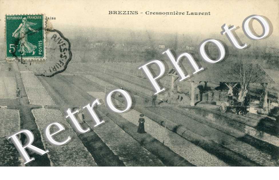 Cressonniere Laurent