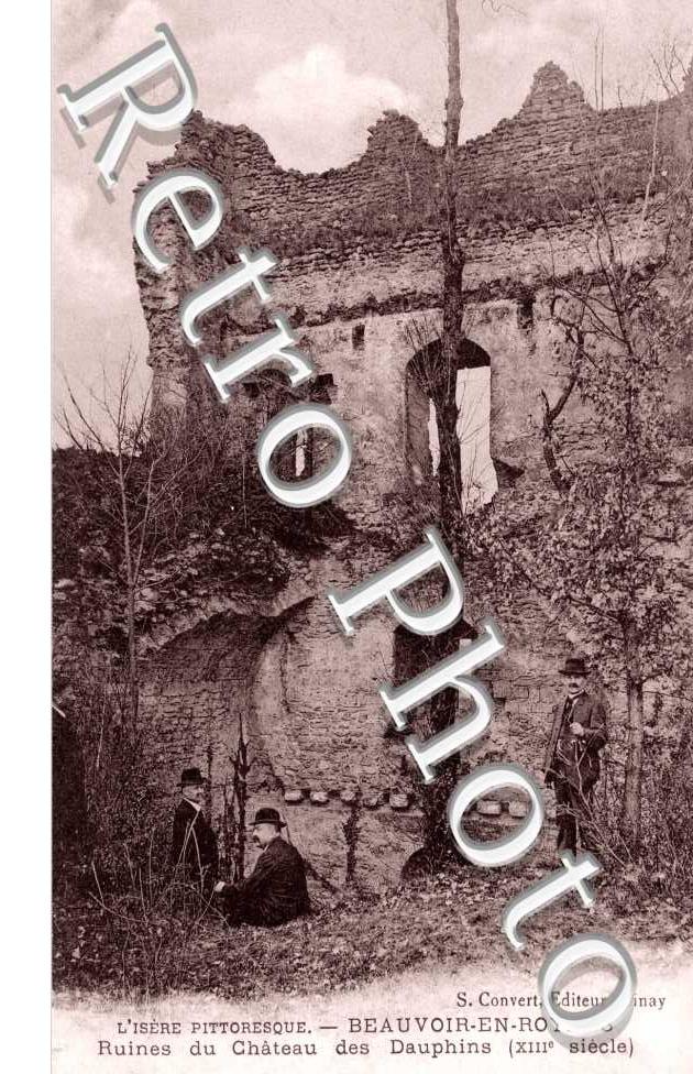 Les Ruines du Chateau des Dauphins