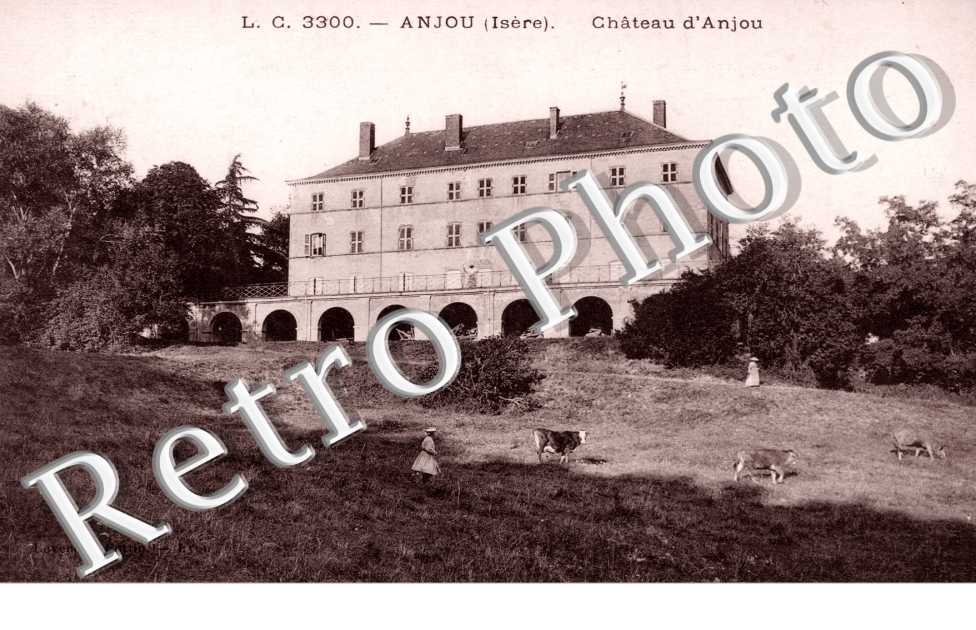 Le Chateau d'Anjou