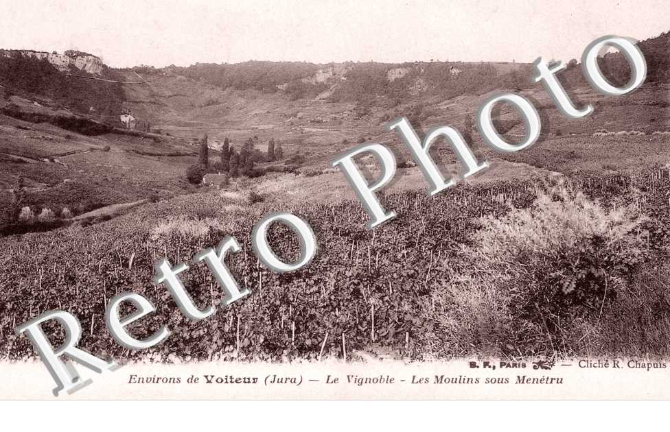 Le Vignoble, les Moulins sous Menetru