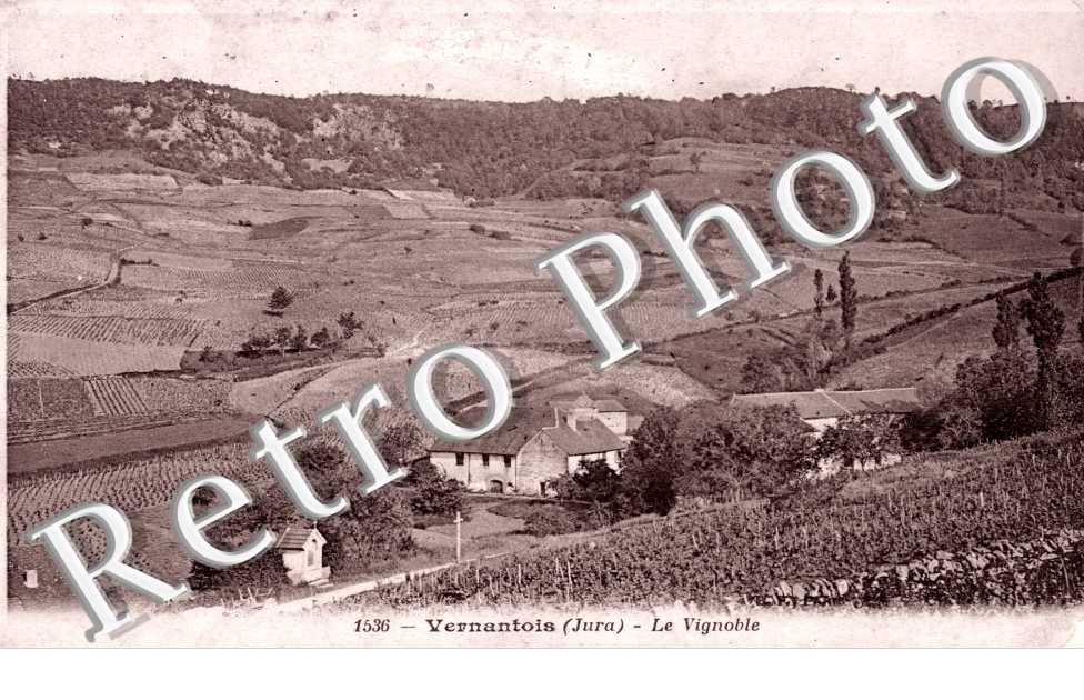 le vignoble