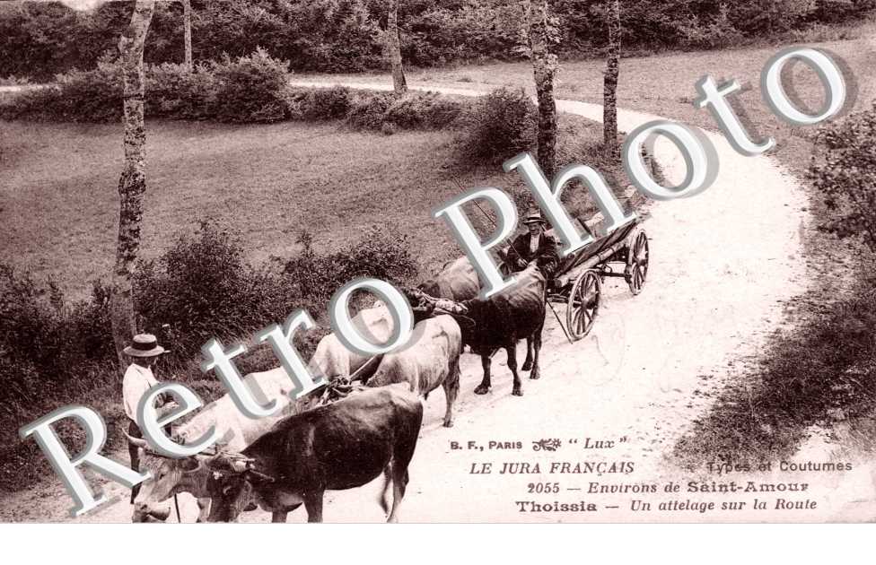 Un attelage sur la Route